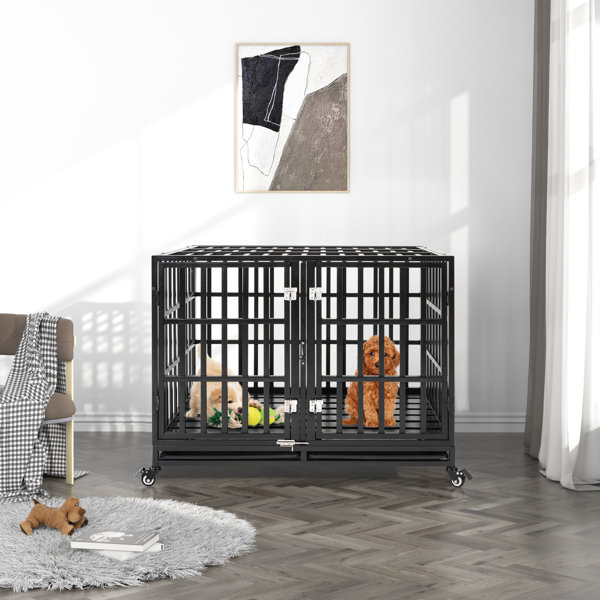 42 inch hotsell dog crate divider